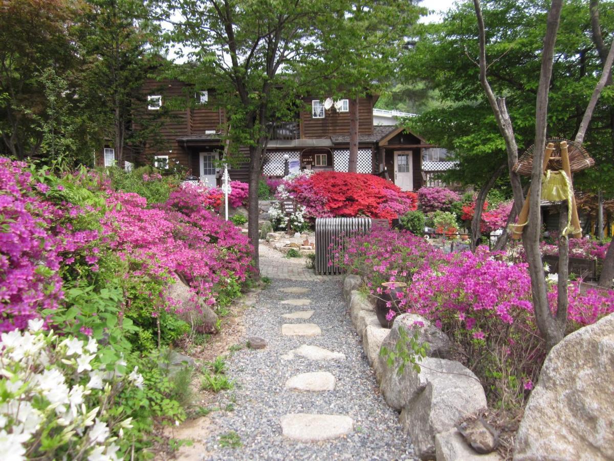 Mayfair Deneb Pension Pyeongchang Exterior photo